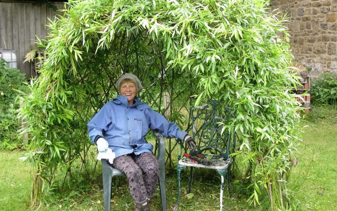relaxing in jesmond community orchard