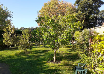 Jesmond Community Orchard