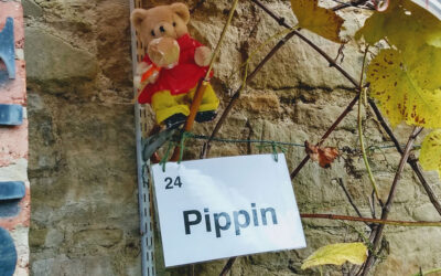 Toffee Apple Ted Trail