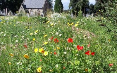 Guided Tours, Sunday 19 September