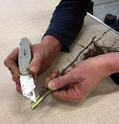 Grafting Courses 2023