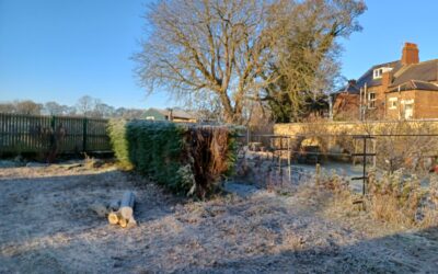 Winter Solstice News