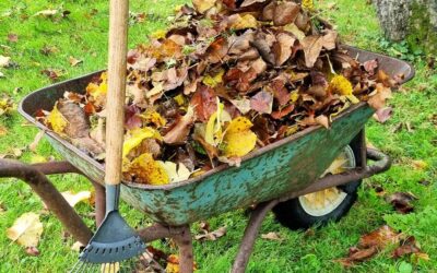 Gardening at the Orchard – join us!