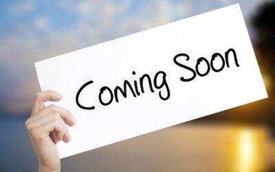 Spring in the Orchard