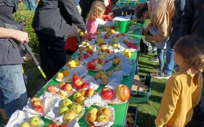 Apple Day: 10 October 2026