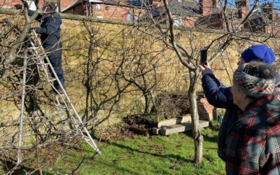 Pruning, grafting, gardening . . .