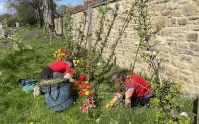 Recent events – and more!