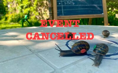 OPEN DAY CANCELLED!